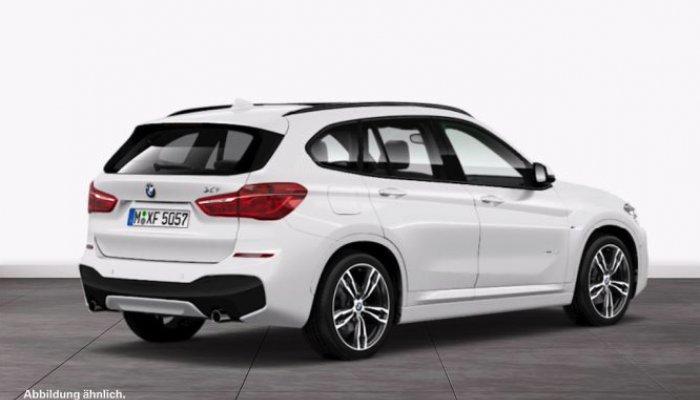 BMW X1 xDrive25d hinten