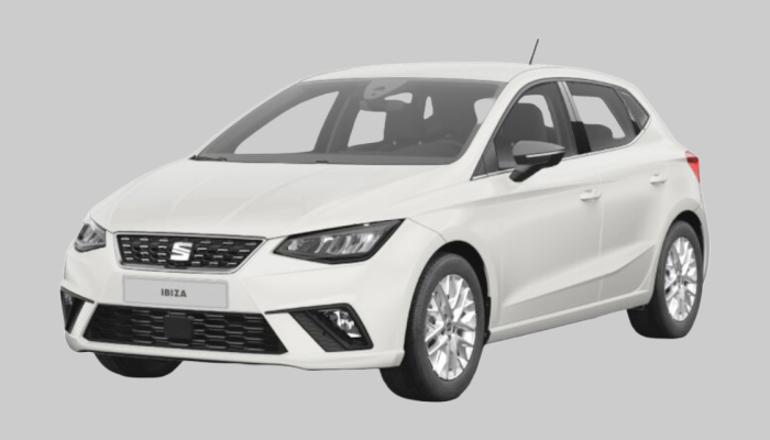 Seat Ibiza Langzeitmiete