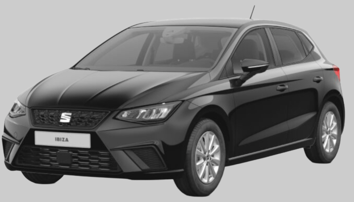 Seat IBIZA Ibiza Road Edition 1.0 MPI vorne