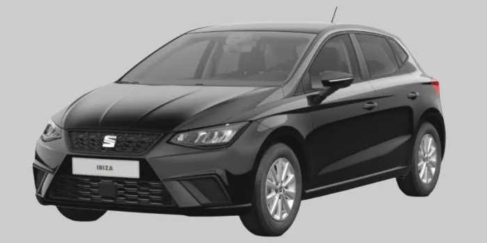 Seat IBIZA Ibiza Road Edition 1.0 MPI vorne