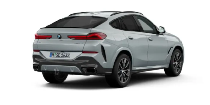 BMW X6 xDrive 30d hinten