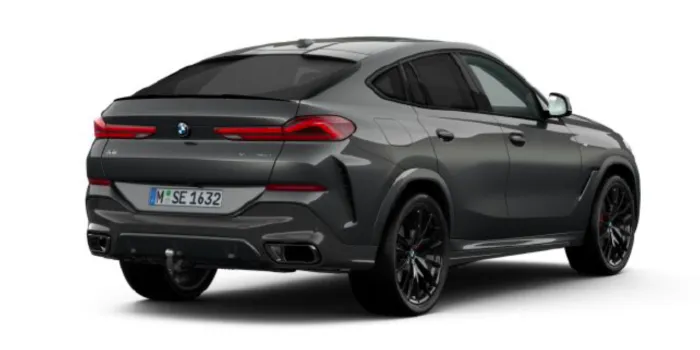 BMW X6 xDrive 40d hinten
