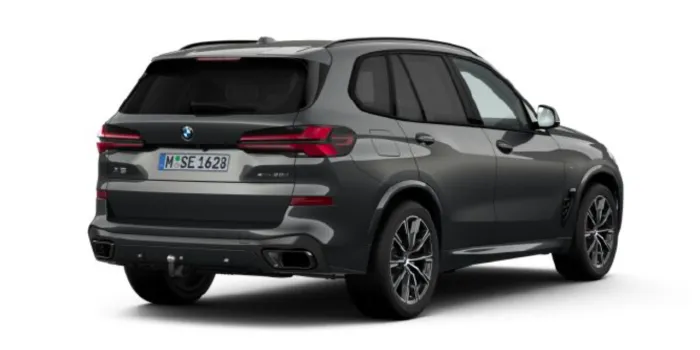 BMW X5 xDrive 30d hinten
