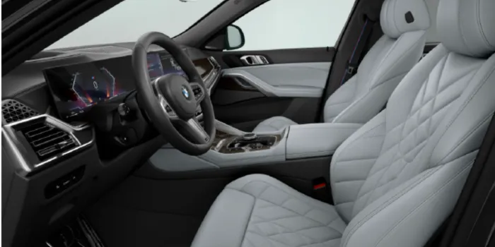 BMW X6 xDrive 30d Sitze