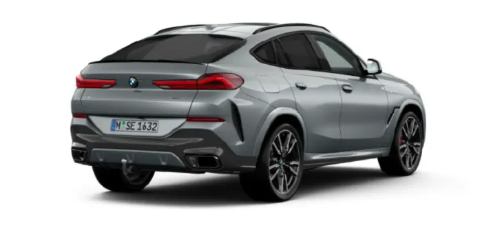 BMW X6 xDrive 30d hinten
