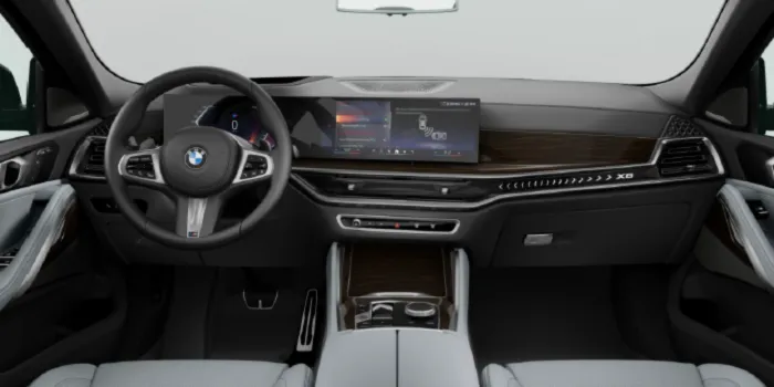 BMW X6 xDrive 30d innen