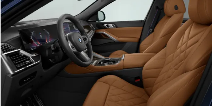 BMW X6 xDrive 30d Sitze