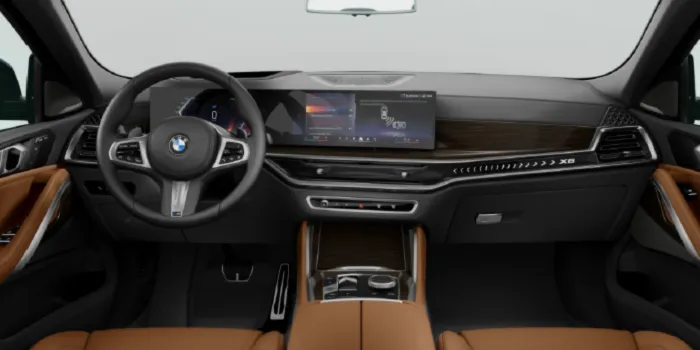 BMW X6 xDrive 30d innen